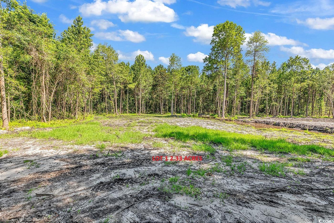 Lot 1 Coats Road Loris, SC 29569 - Photo 2 of 7