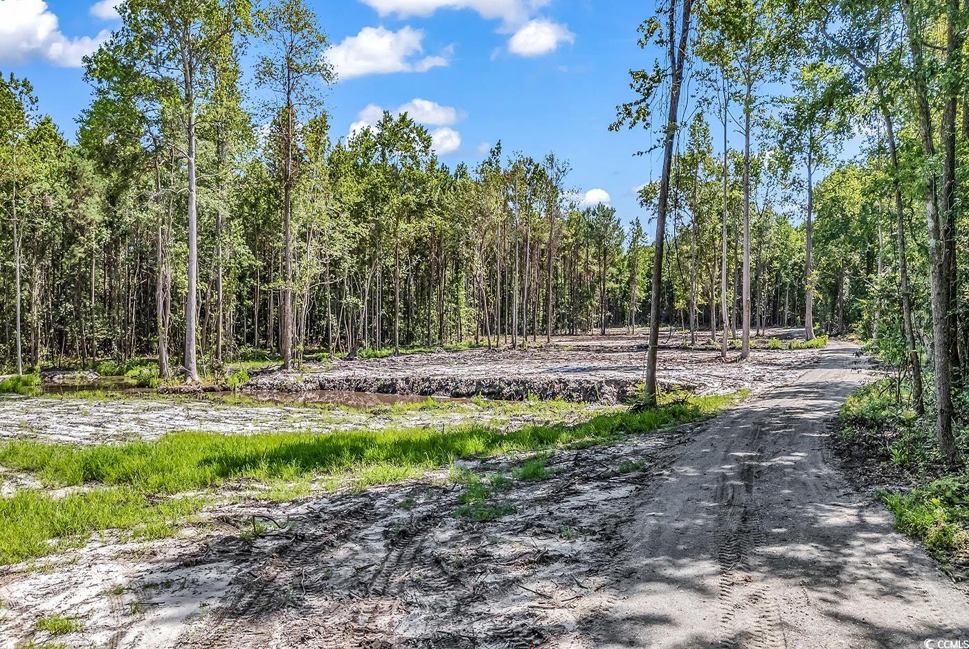 Lot 1 Coats Road Loris, SC 29569 - Photo 4 of 7 View of dirt / gravel road featuring a wooded view