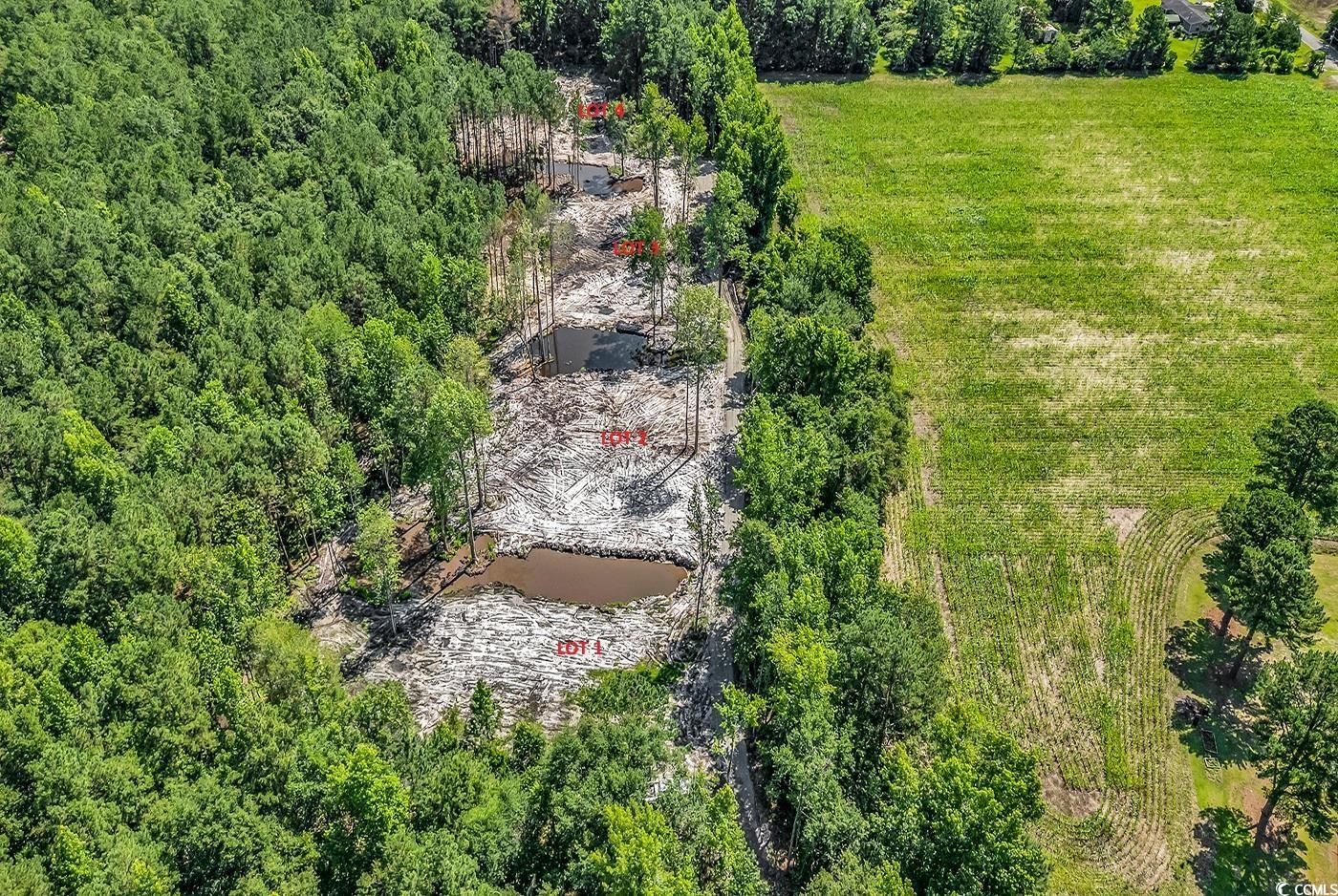 Lot 1 Coats Road Loris, SC 29569 - Photo 7 of 7 Drone / aerial view