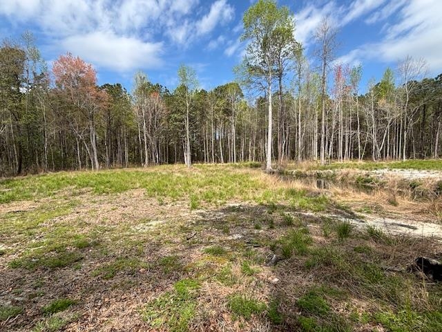 Lot 1 Coats Road Loris, SC 29569 - Photo 8 of 9
