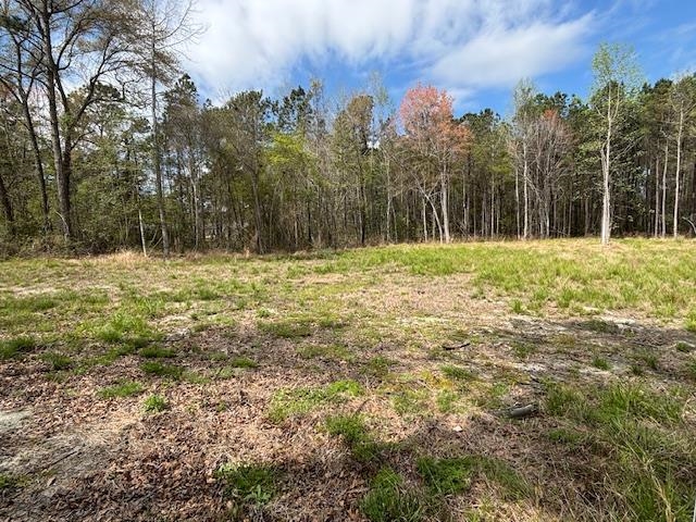 Lot 1 Coats Road Loris, SC 29569 - Photo 9 of 9