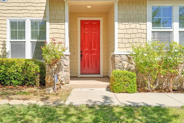 a potted plant in front of a house