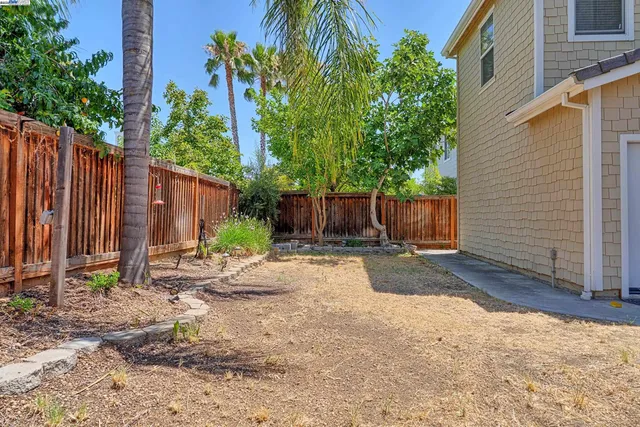 a backyard of a house with plants and tree