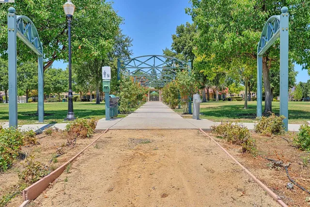 a view of a park with large trees