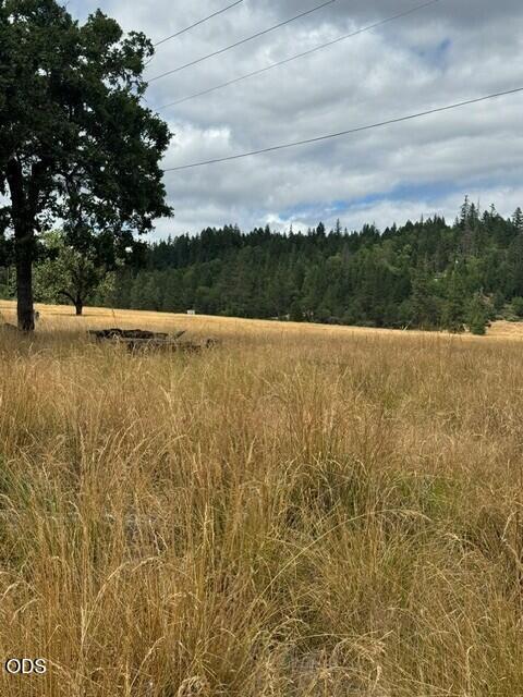 5345 West Side Road Cave Junction, OR 97523 - Photo 8 of 25