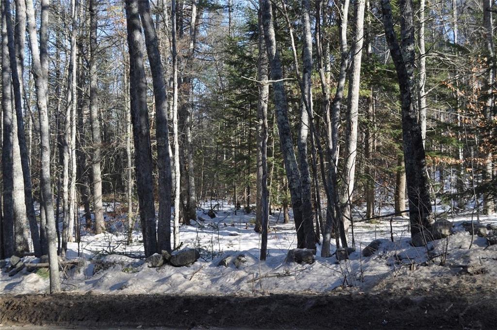 Lot 5-1 Lessner Road Damariscotta, ME 04543 - Photo 4 of 4 Photo