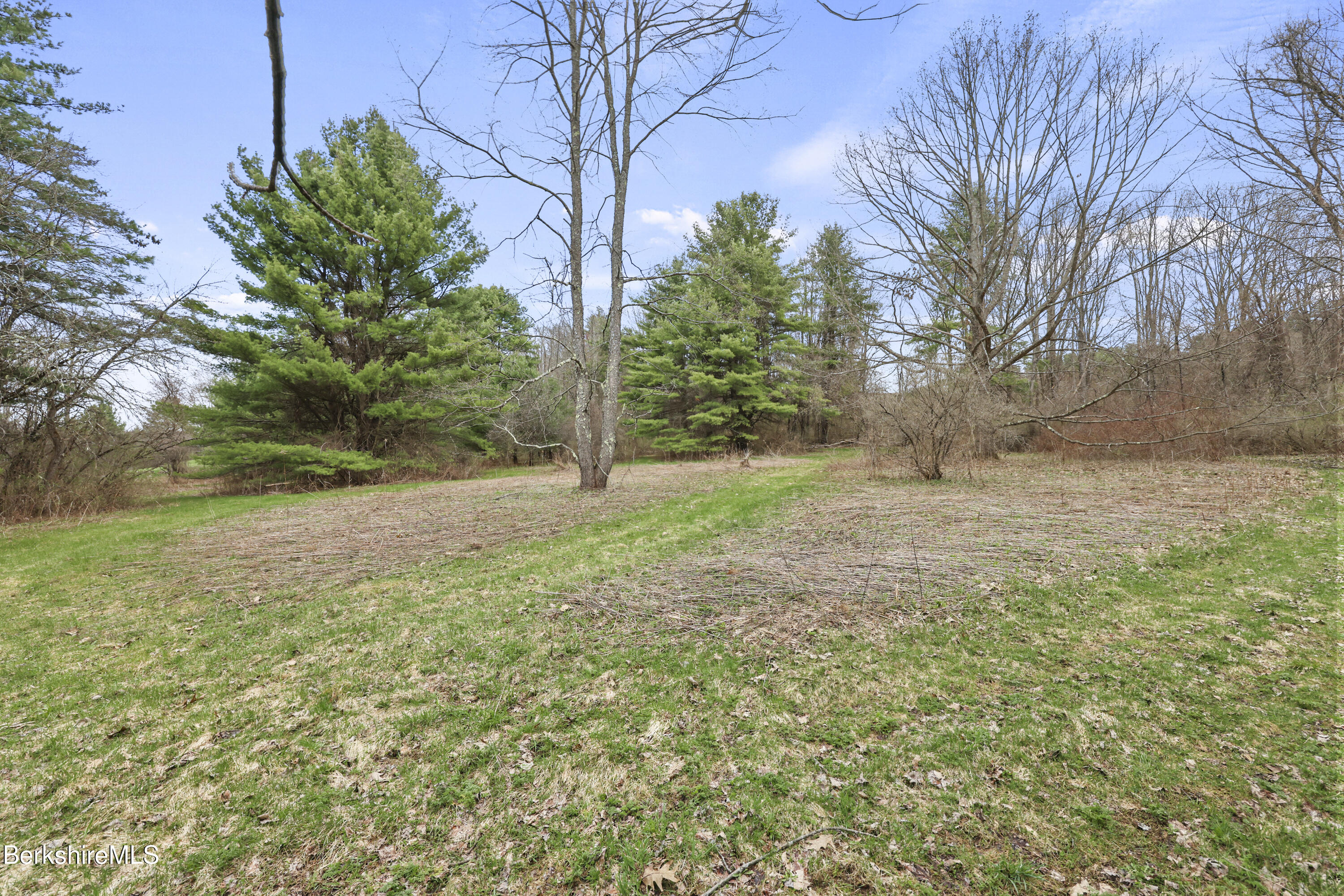 0 Lenox Road West Stockbridge, MA 01266 - Photo 13 of 18 a view of a yard with a tree