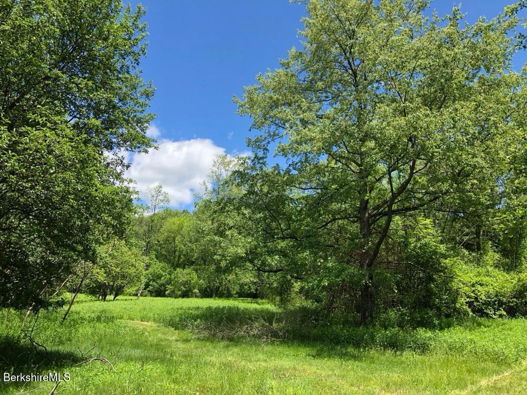 0 Lenox Road West Stockbridge, MA 01266 - Photo 16 of 18 a view of a garden