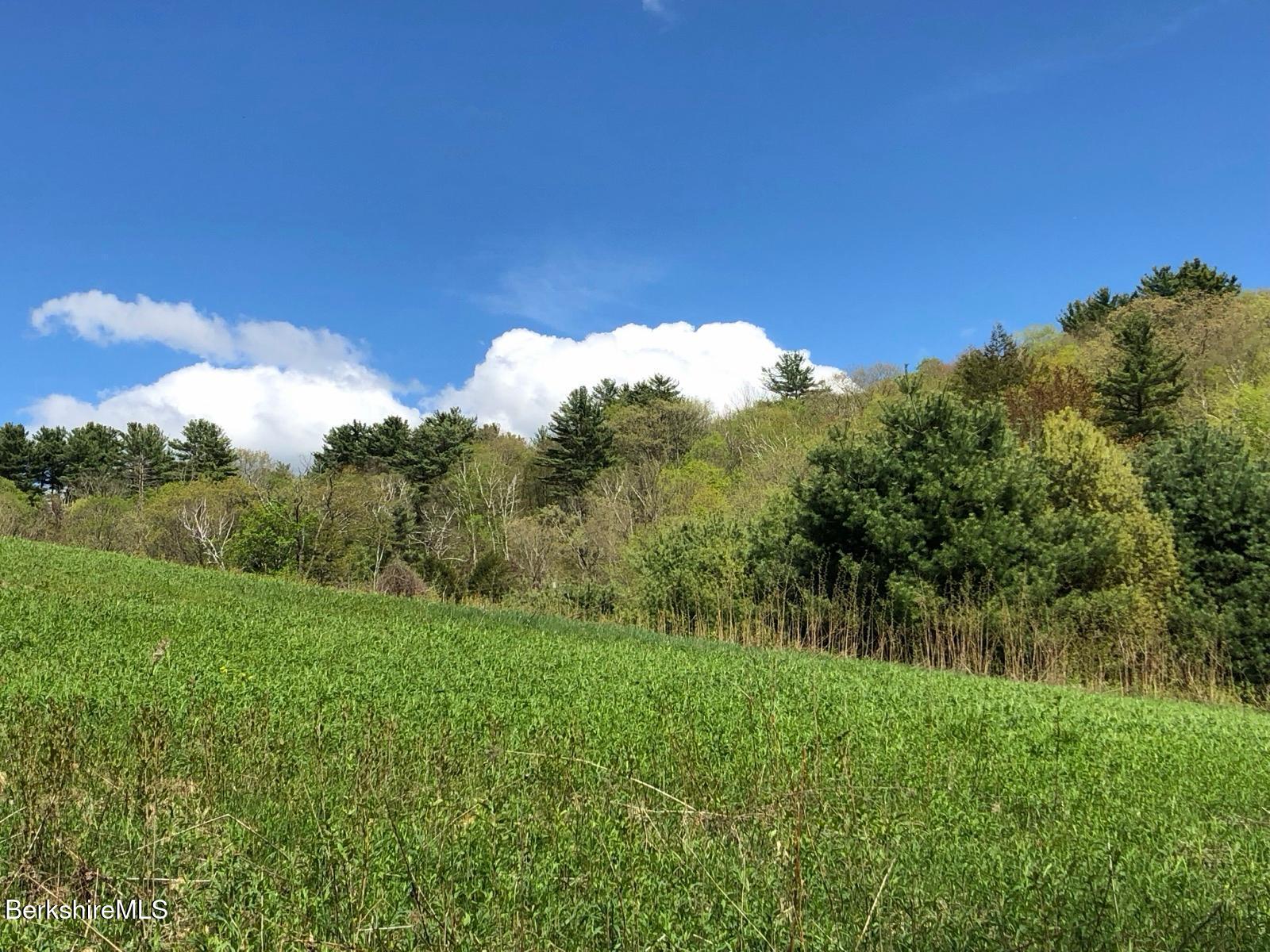 0 Lenox Road West Stockbridge, MA 01266 - Photo 17 of 18 a view of a lake with a yard