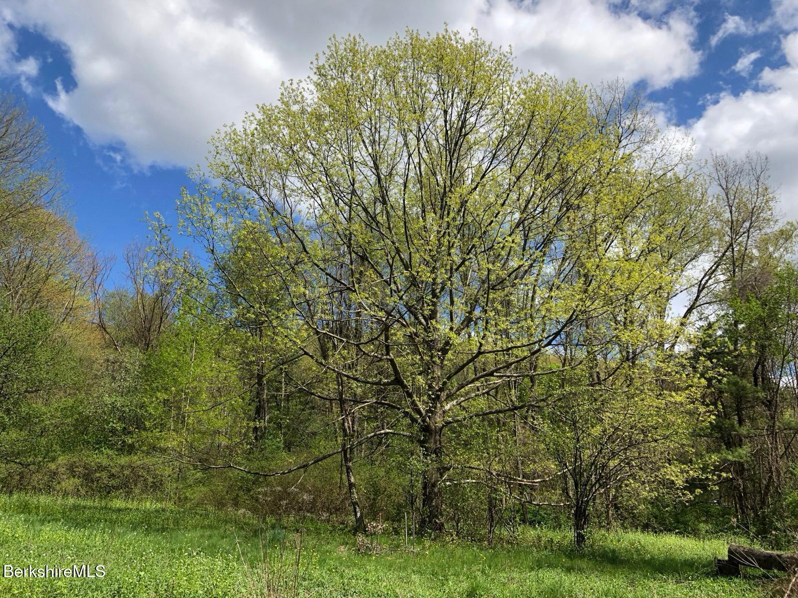 0 Lenox Road West Stockbridge, MA 01266 - Photo 7 of 18 a view of backyard with green space