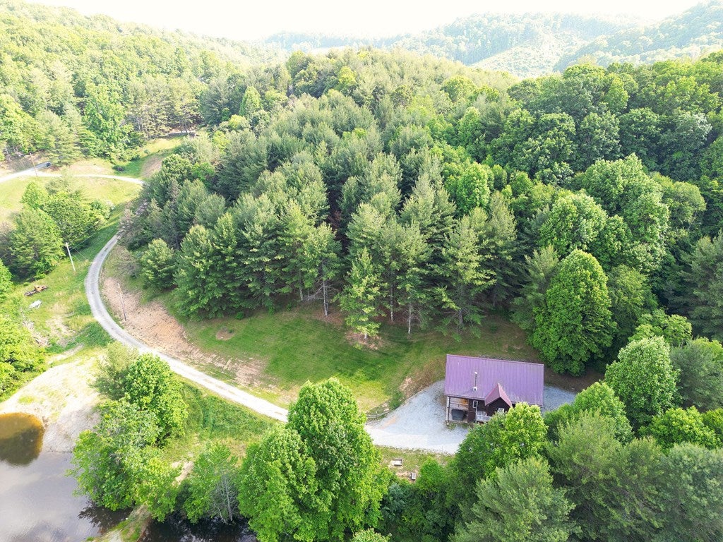 2361 Peach Bottom Road Independence, VA 24348 - Photo 33 of 38 Gallery Image 33