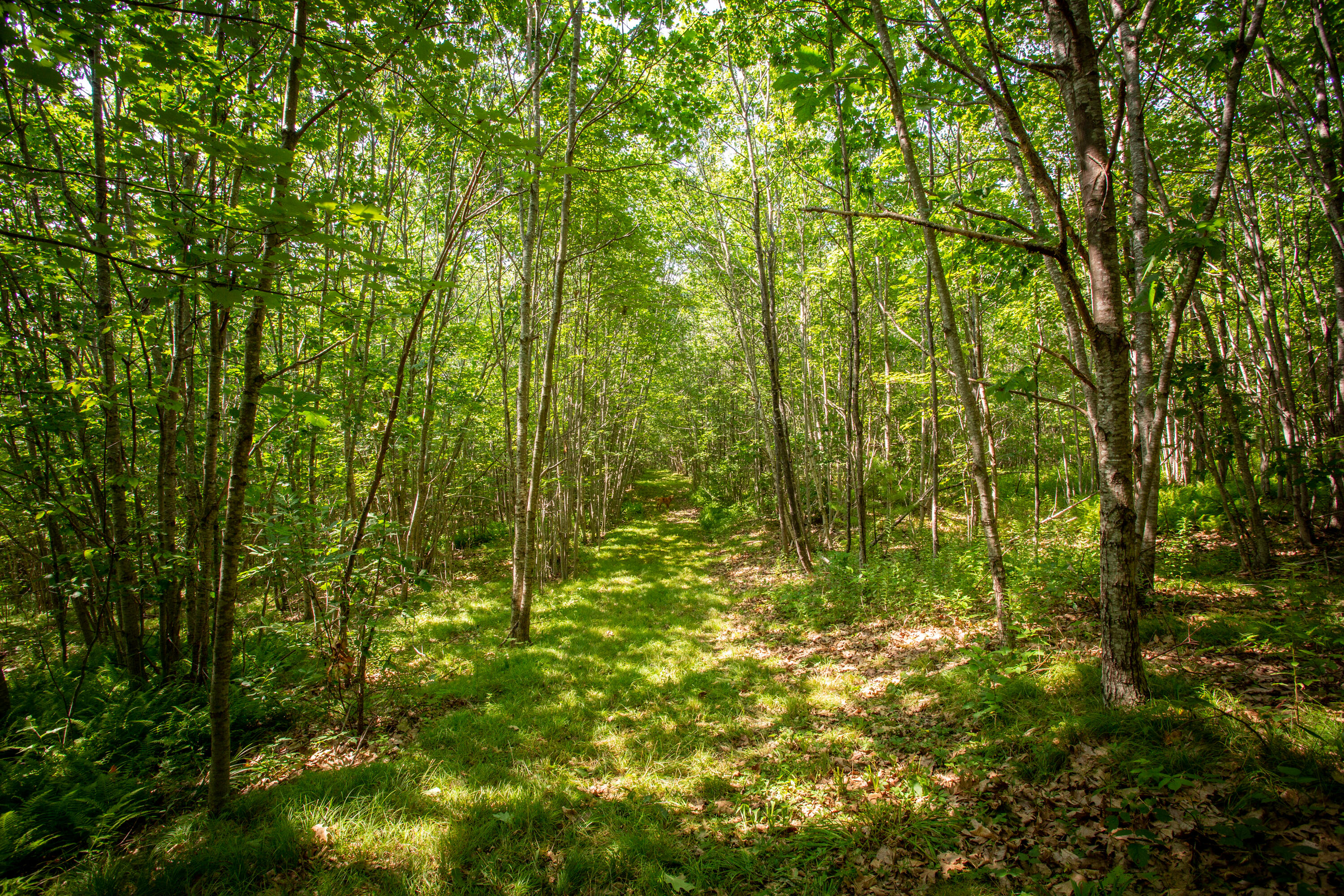 180 Golden Ridge Road Alna, ME 04535 - Photo 33 of 39 38-180GoldenRidge-Alna-KS