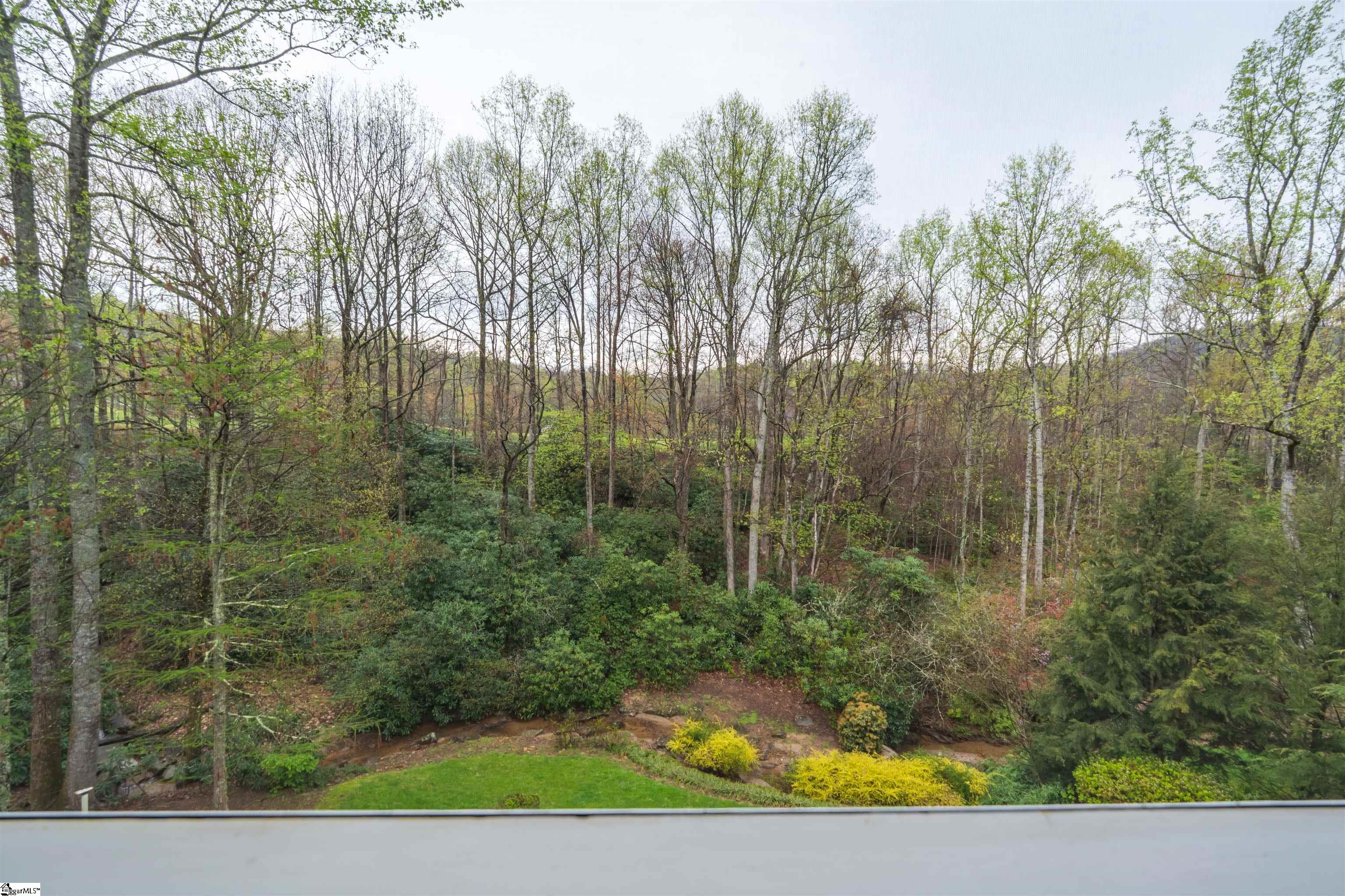 8 Rustic Court Landrum, SC 29356 - Photo 26 of 49