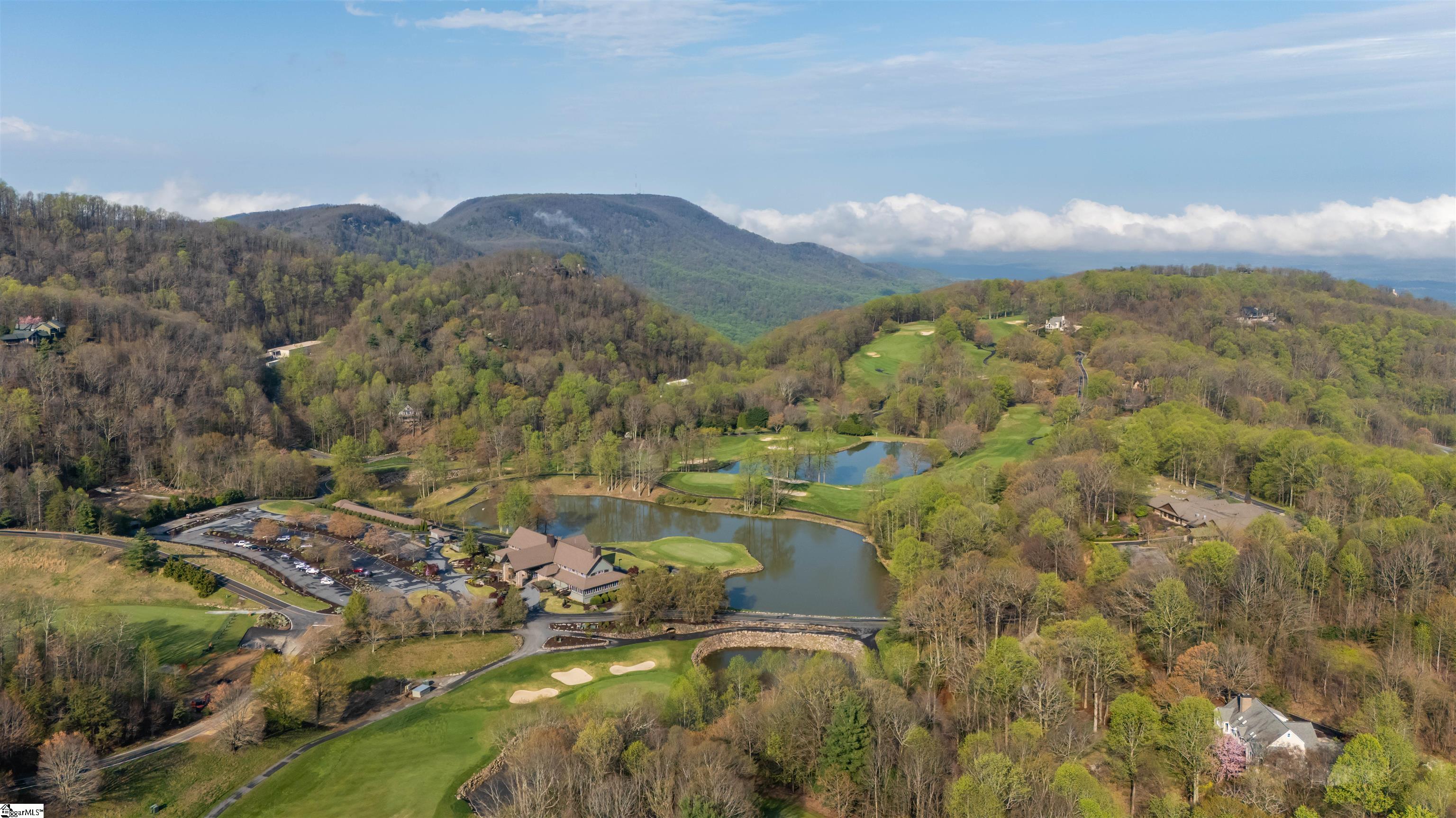8 Rustic Court Landrum, SC 29356 - Photo 47 of 49