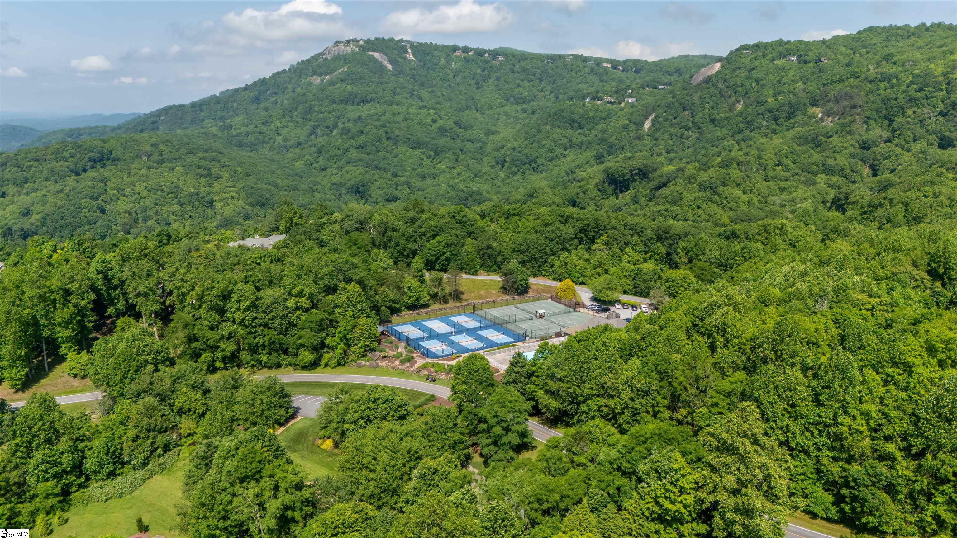 8 Rustic Court Landrum, SC 29356 - Photo 48 of 49