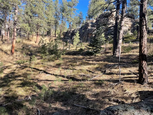 a view of outdoor space