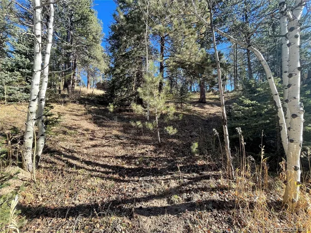 $15,000 | Shadow Mountain Drive, Conifer, CO 80433