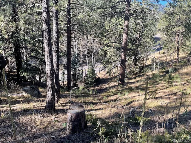 $15,000 | Shadow Mountain Drive, Conifer, CO 80433