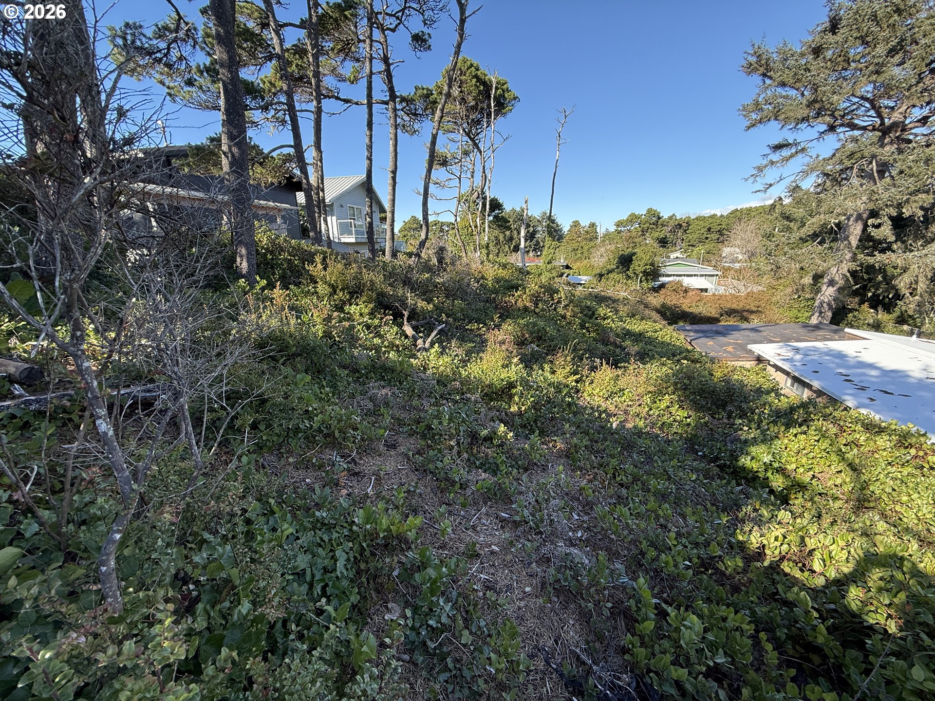 Arago Street, Unit 2902 Florence, OR 97439 - Photo 3 of 19