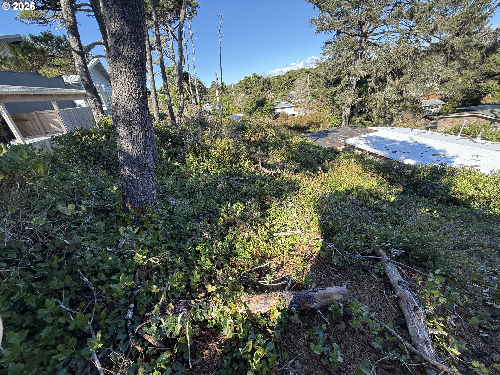 Arago Street, Unit 2902 Florence, OR 97439 - Photo 6 of 19