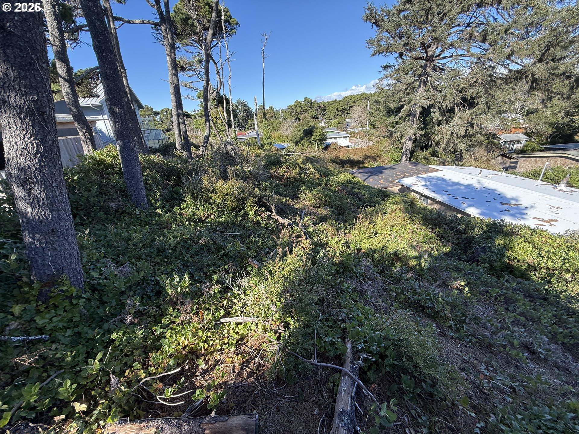Arago Street, Unit 2902 Florence, OR 97439 - Photo 7 of 19