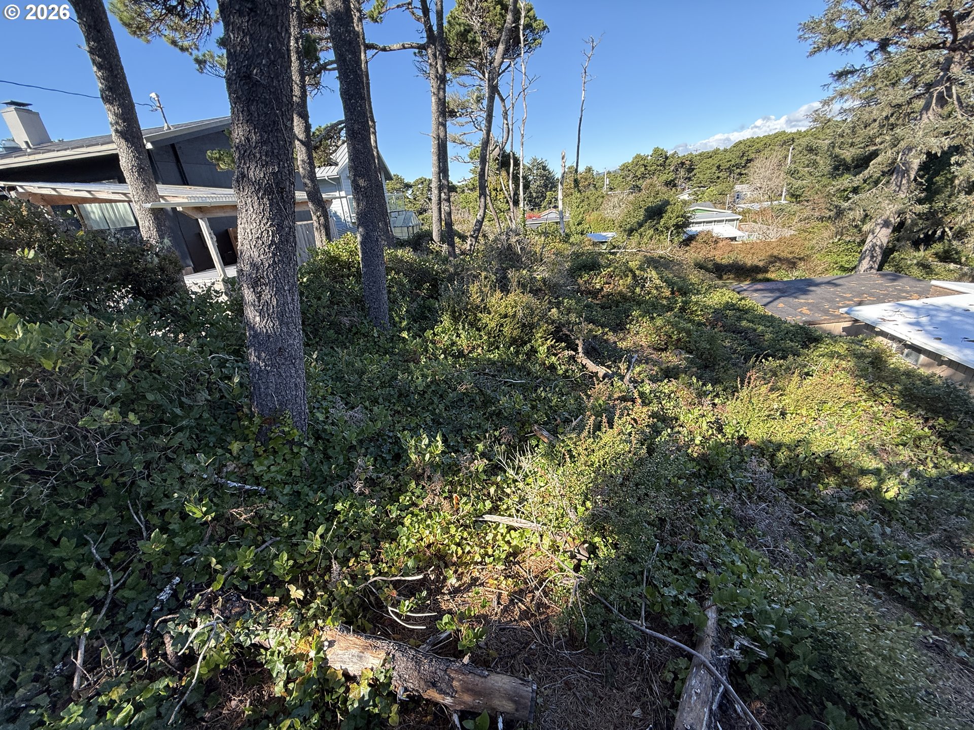 Arago Street, Unit 2902 Florence, OR 97439 - Photo 8 of 19
