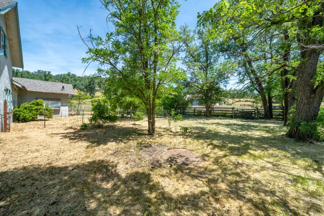 a view of a yard with plants and trees
