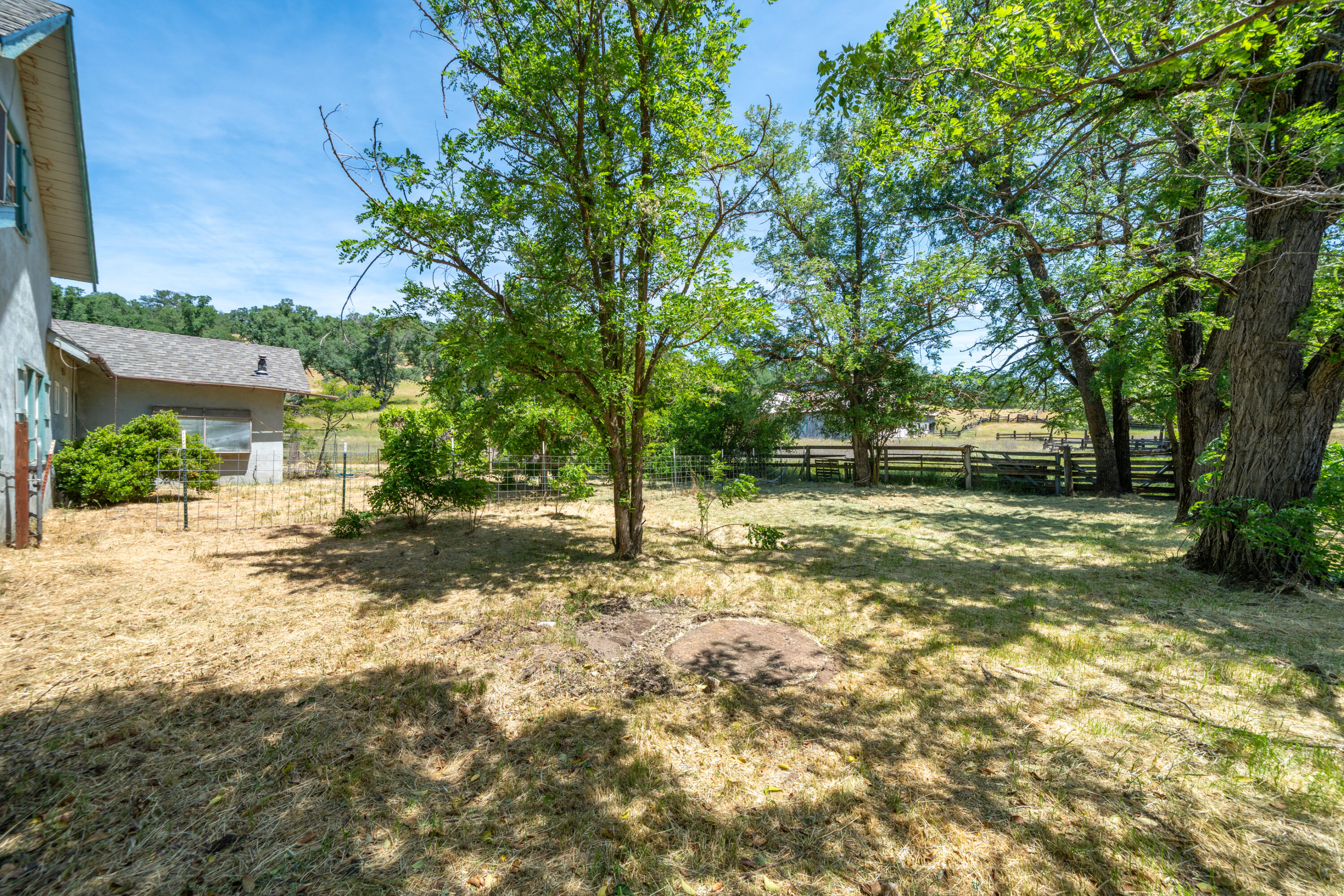24294 Dersch Road Shingletown, CA 96088 - Photo 23 of 34 a view of a yard with plants and trees