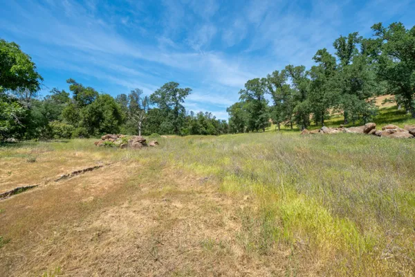 a view of yard with trees