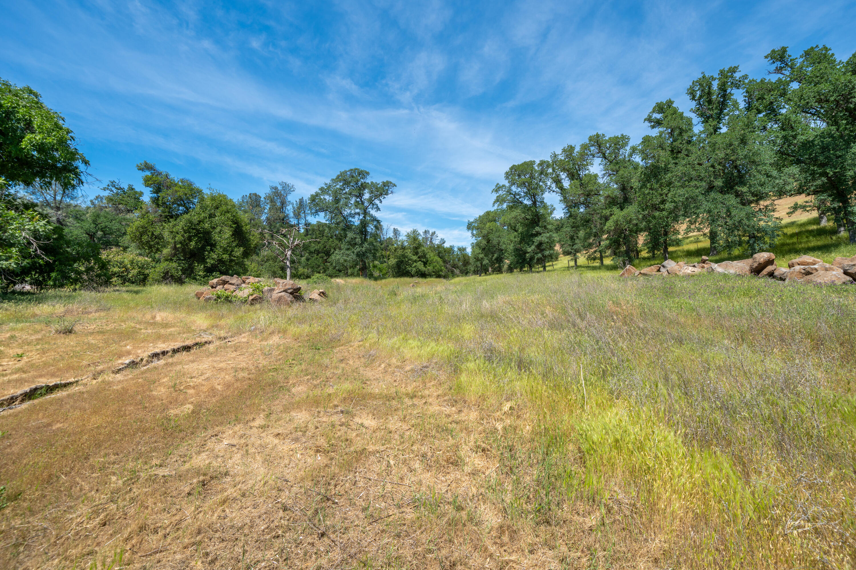 24294 Dersch Road Shingletown, CA 96088 - Photo 32 of 34 a view of yard with trees