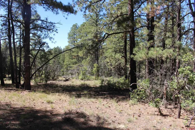 a view of snow on a yard