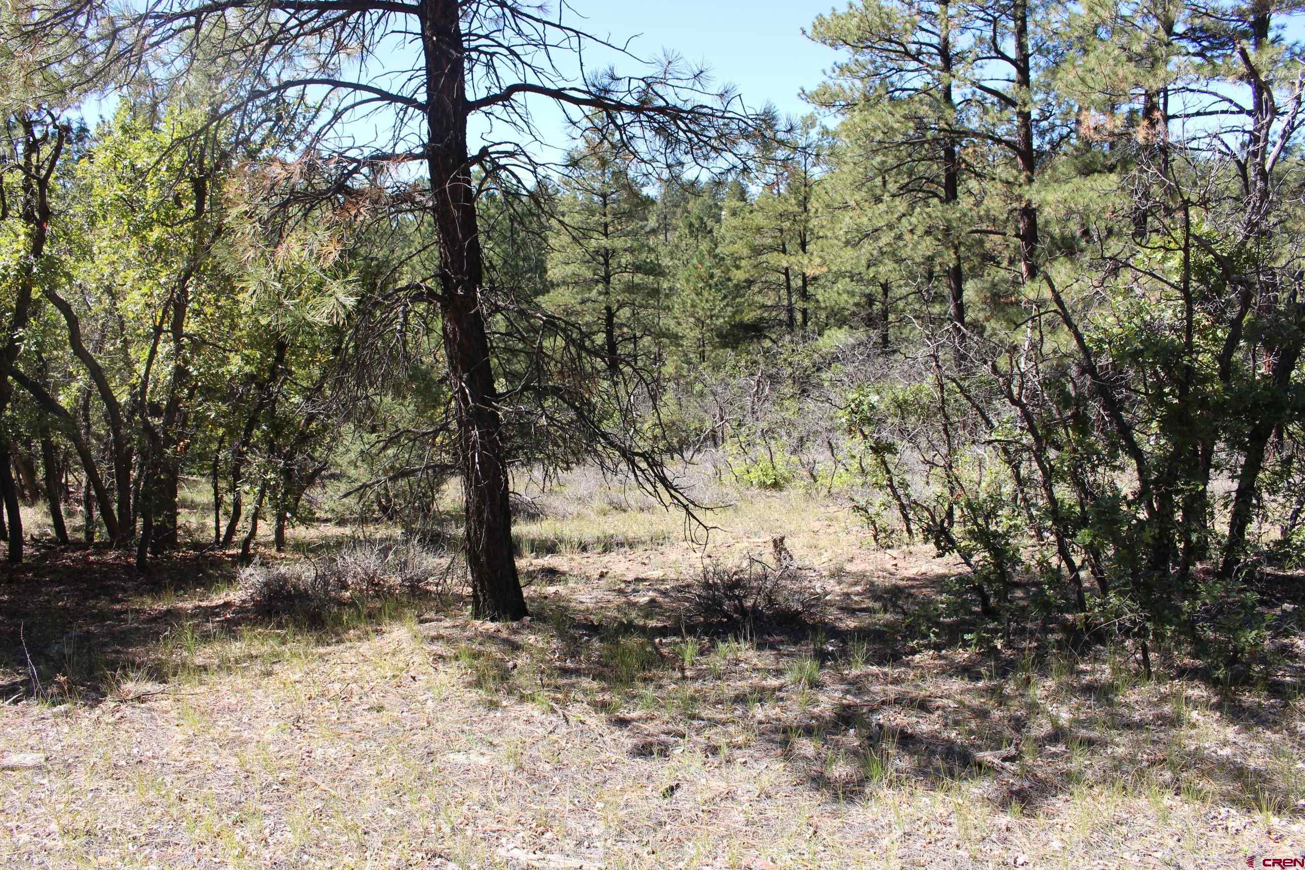 1260 Crooked Road Pagosa Springs, CO 81147 - Photo 26 of 34 a view of outdoor space and yard