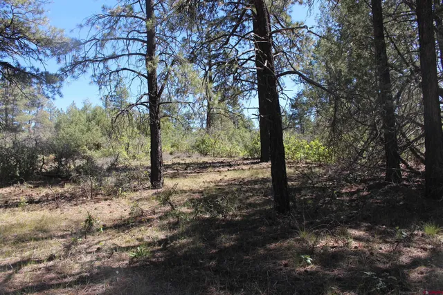 a view of outdoor space with trees