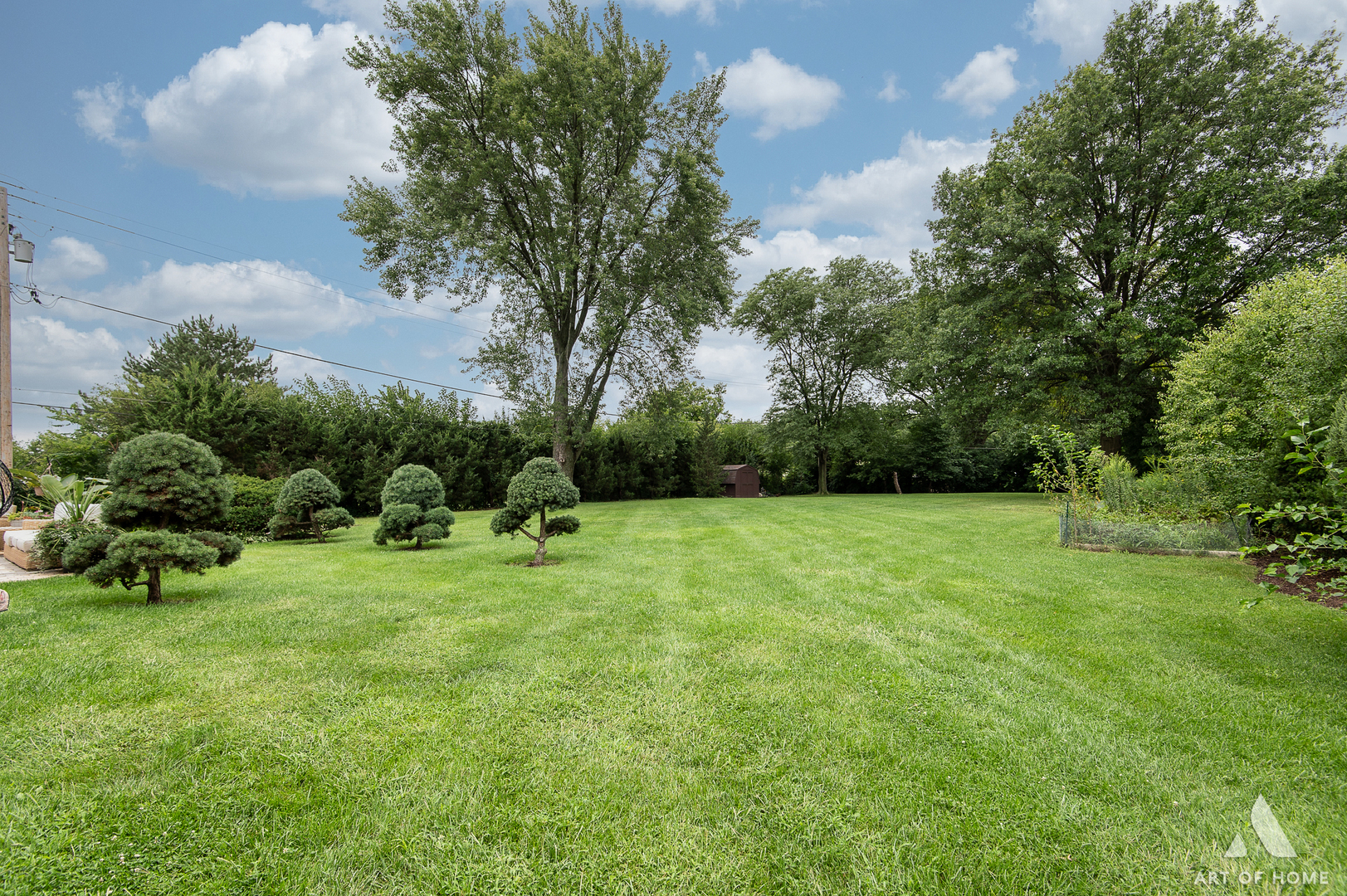 6N654 Harvey Road Medinah, IL 60172 - Photo 41 of 47 a backyard of a house with lots of green space