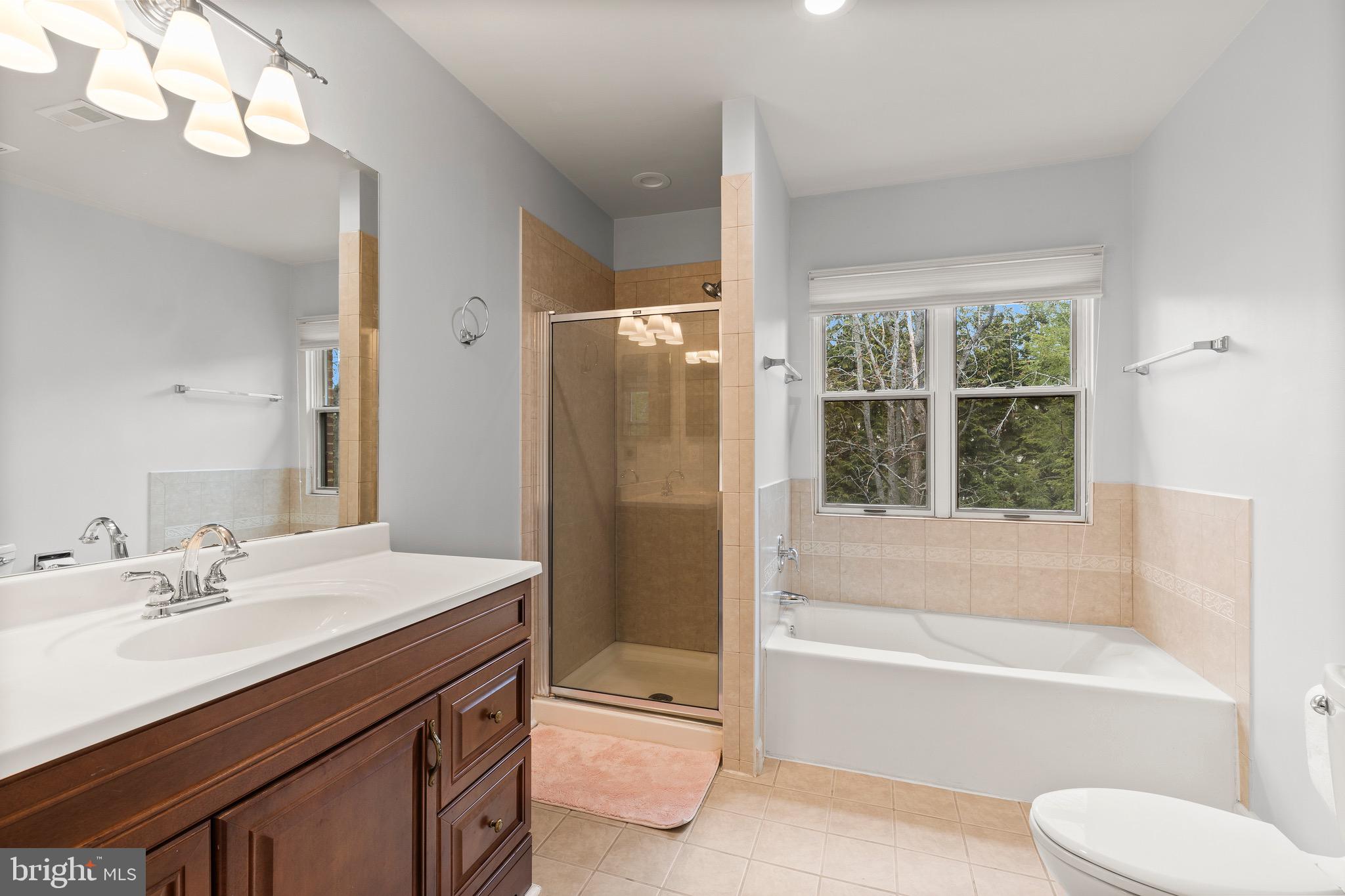1474 Hampton Hill Circle McLean, VA 22101 - Photo 18 of 45 a bathroom with a bathtub shower sink vanity and a toilet
