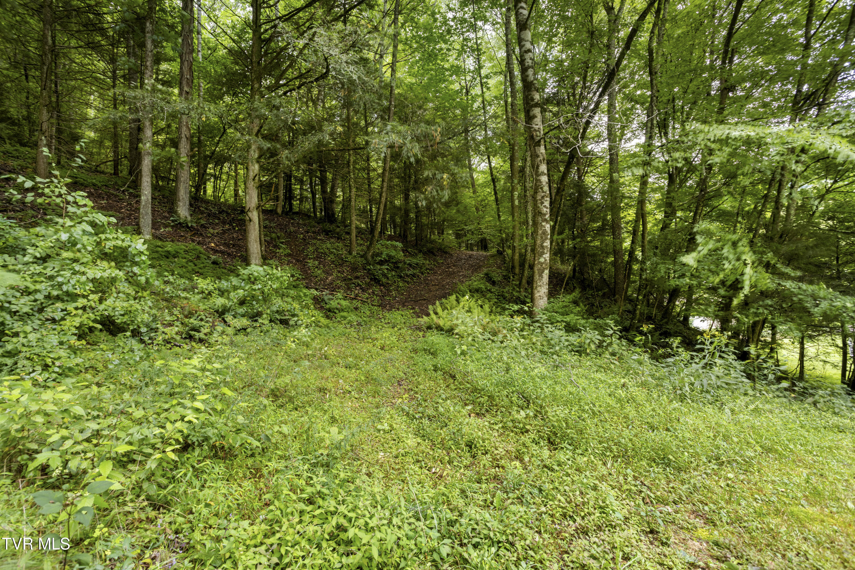 332 Currin Valley Road Marion, VA 24354 - Photo 11 of 35 177A1686-HDR