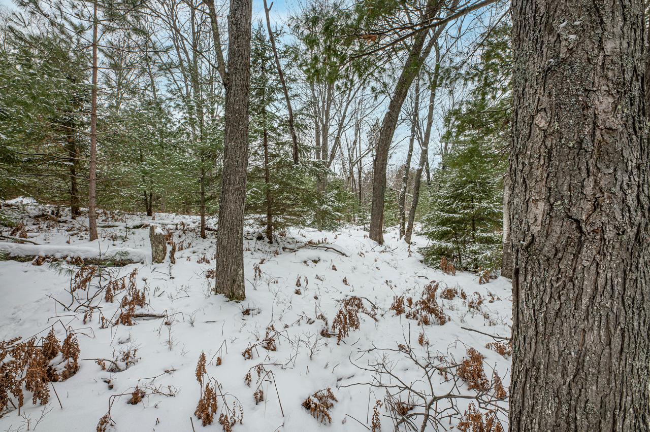 6155 River Road Eagle River, WI 54521 - Photo 6 of 9 Gallery Image 6