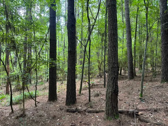 $341,000 | 0 27th Highway, Bainbridge, GA 39819