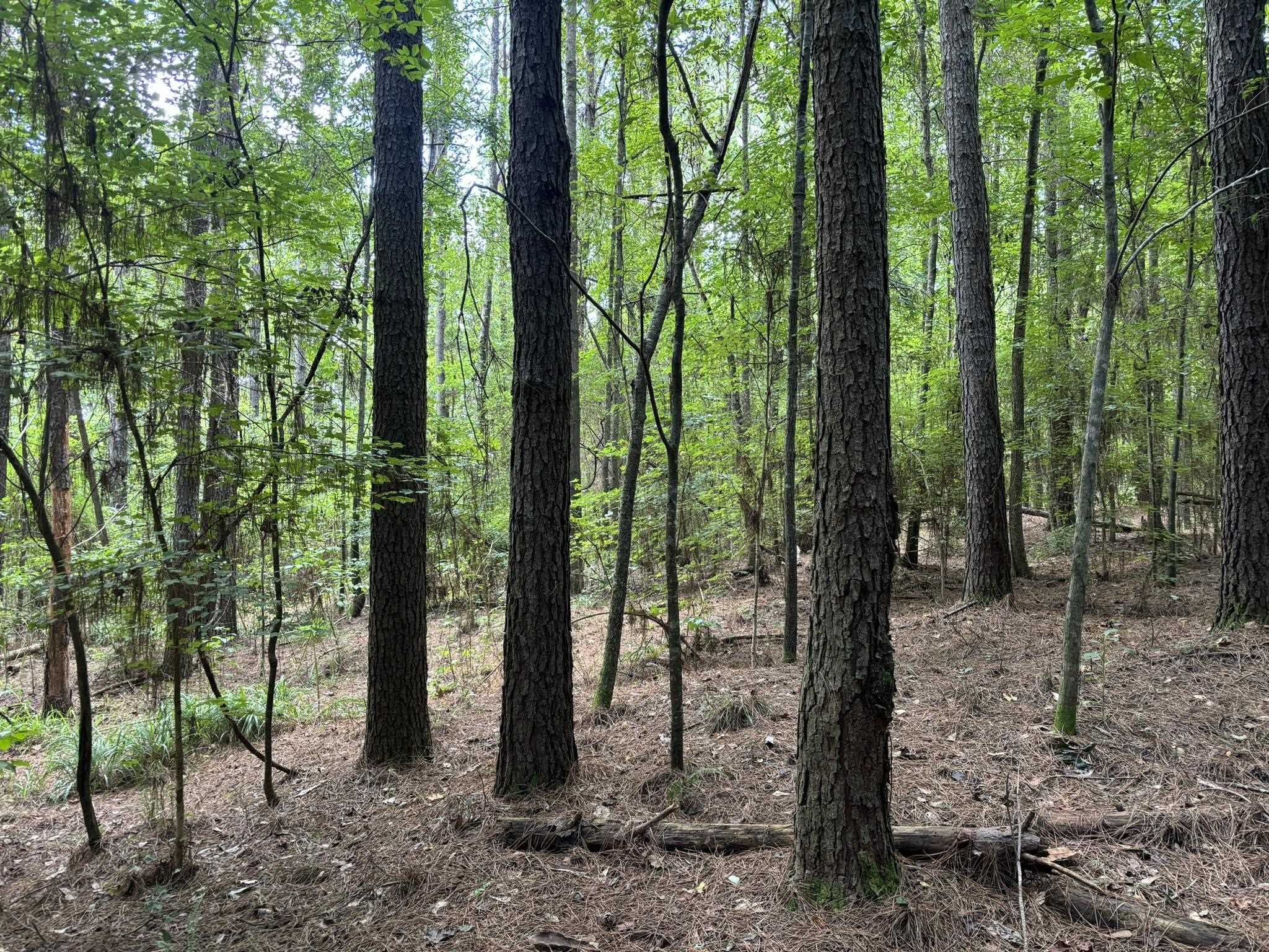 0 27th Highway Bainbridge, GA 39819 - Photo 1 of 12