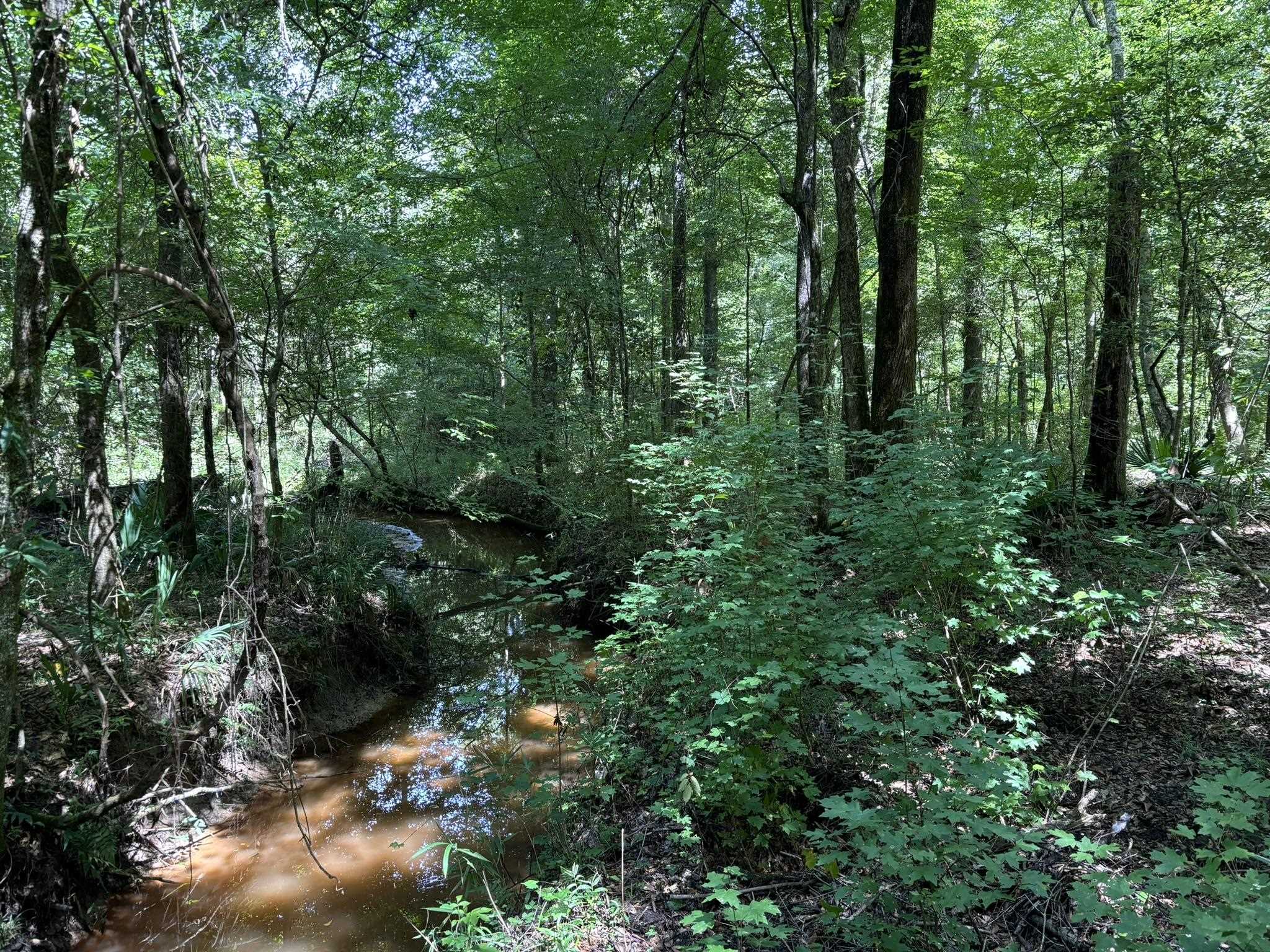 0 27th Highway Bainbridge, GA 39819 - Photo 12 of 12