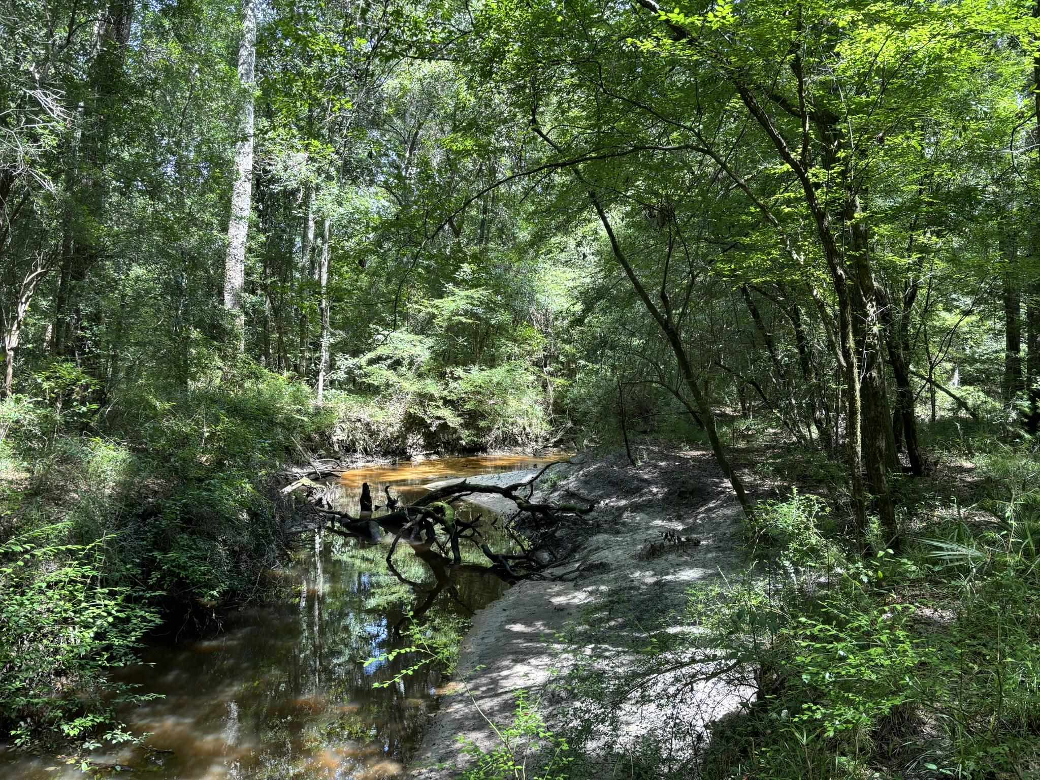 0 27th Highway Bainbridge, GA 39819 - Photo 4 of 12