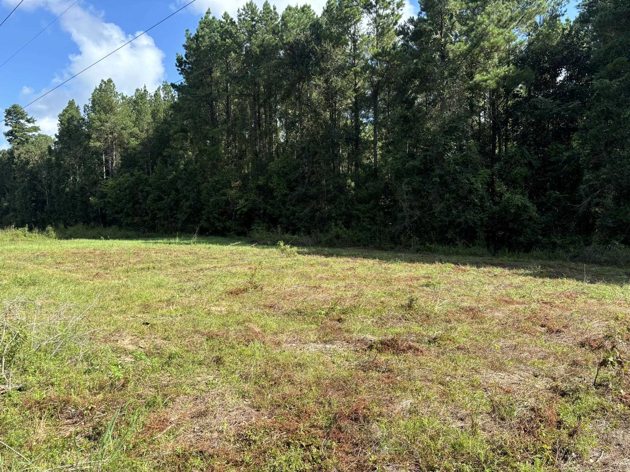 0 27th Highway Bainbridge, GA 39819 - Photo 7 of 12