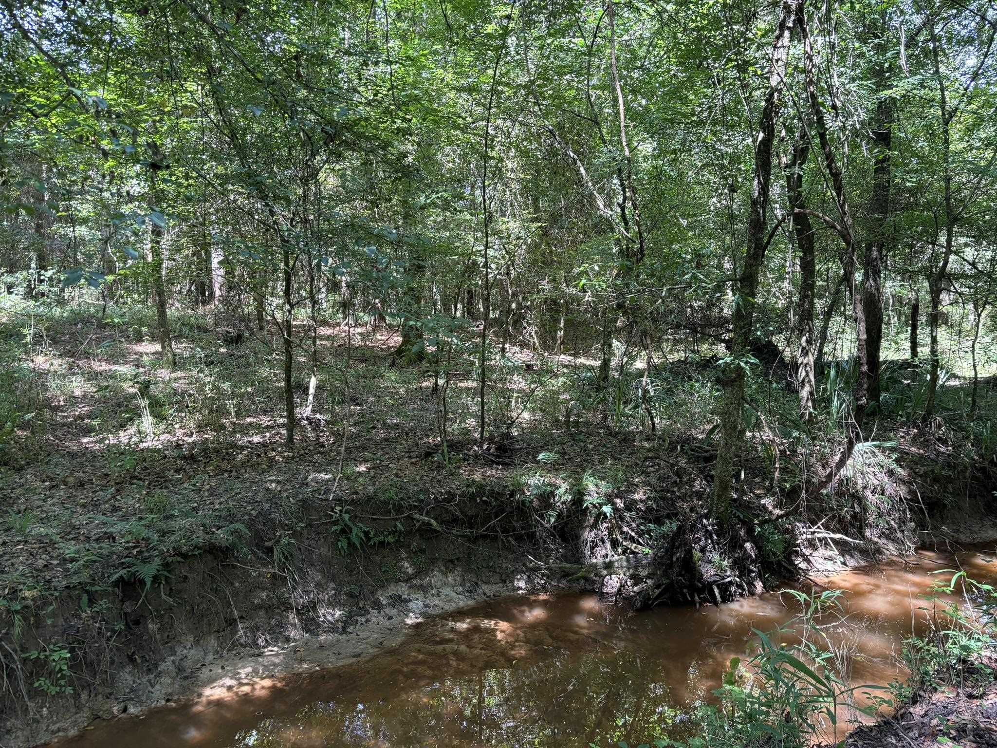 0 27th Highway Bainbridge, GA 39819 - Photo 8 of 12