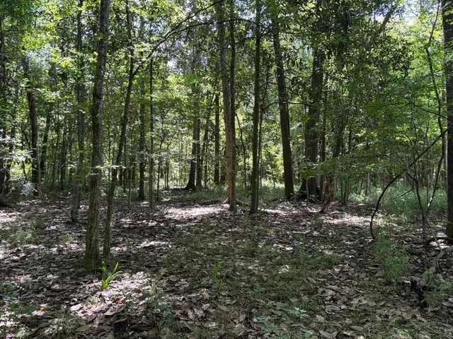 $341,000 | 0 27th Highway, Bainbridge, GA 39819