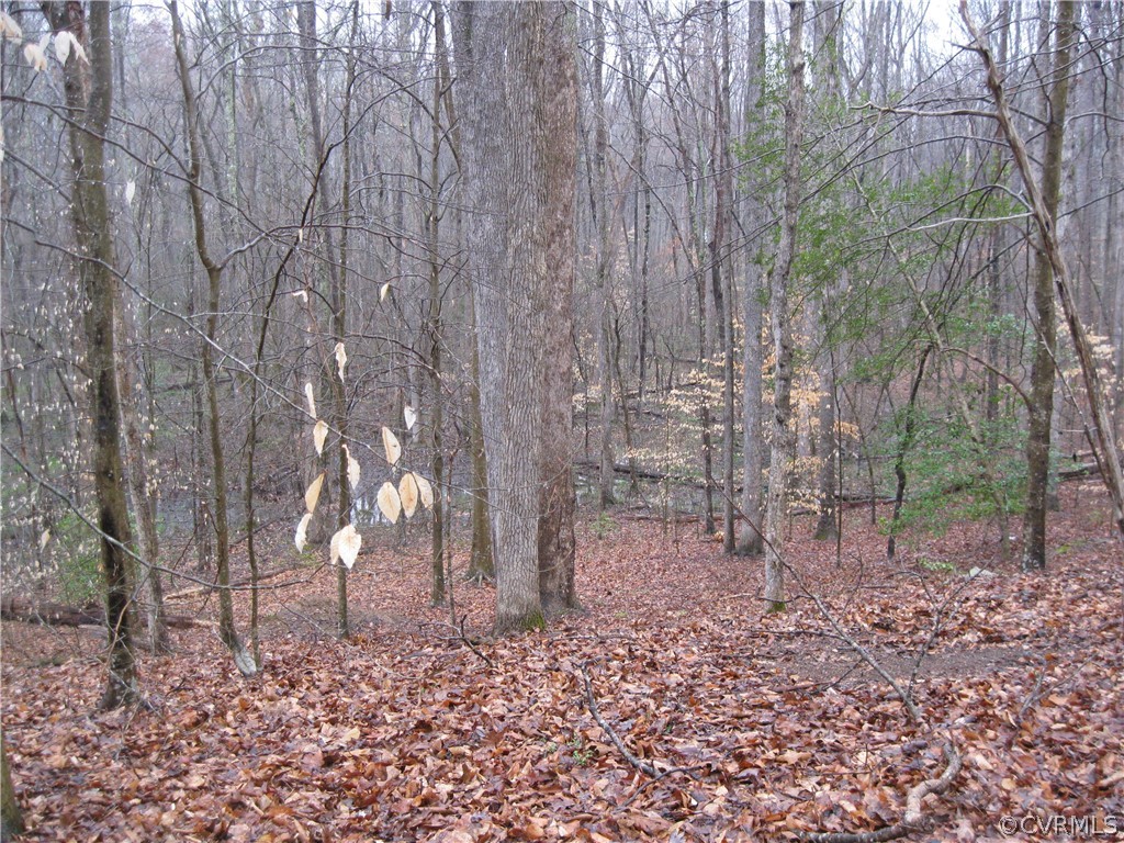 14421 Stillmeadows Road Montpelier, VA 23192 - Photo 38 of 43 Gallery Image 38