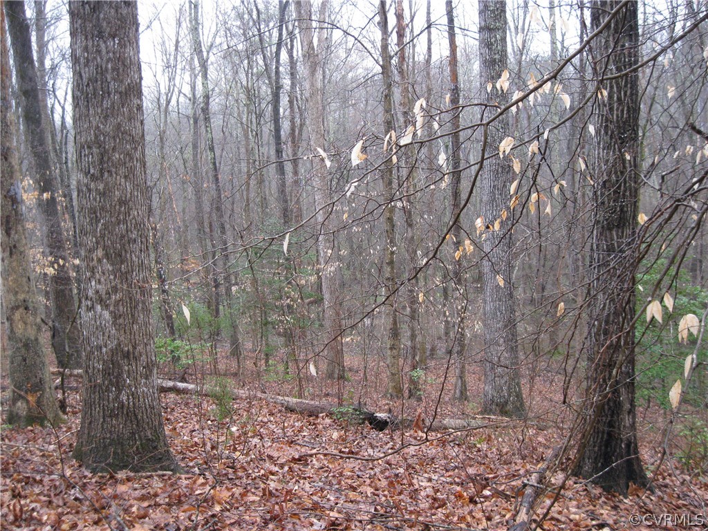 14421 Stillmeadows Road Montpelier, VA 23192 - Photo 39 of 43 Gallery Image 39