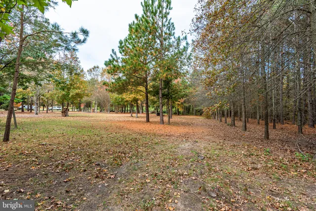 a fire hydrant in the middle of a field