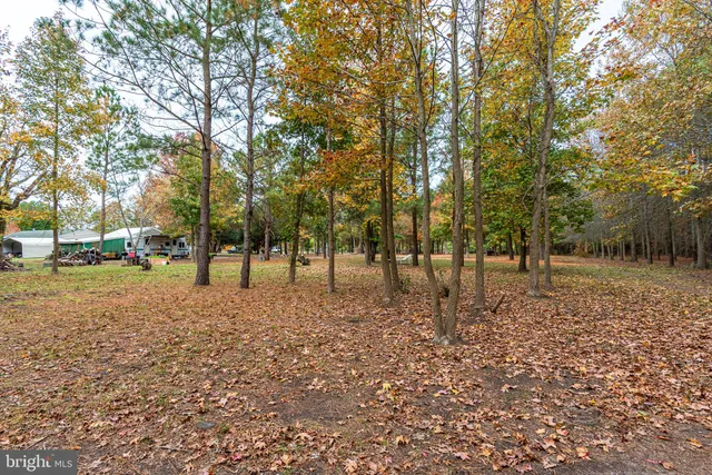a view of a park with swings and slides