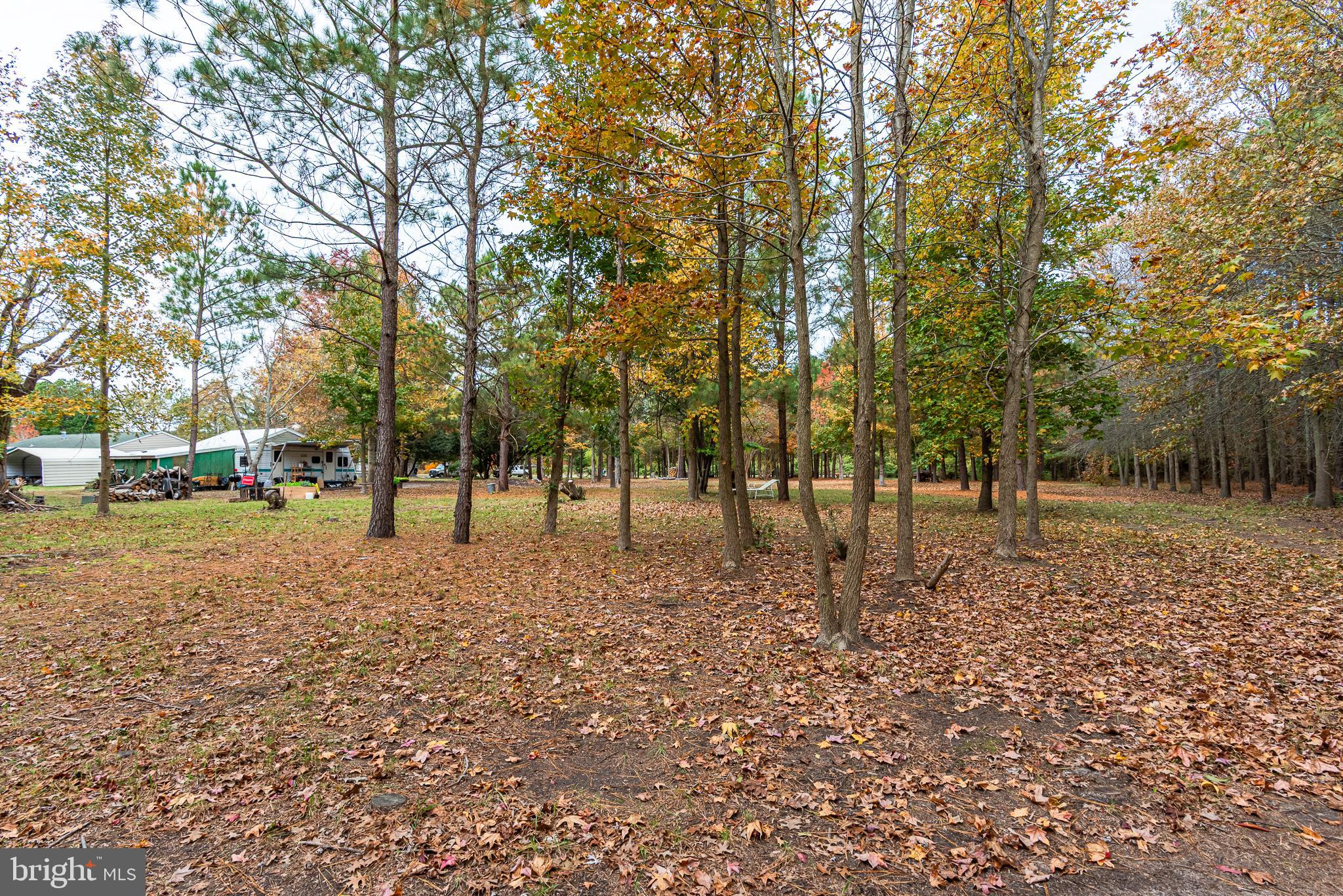 24653 McInturff Road Dames Quarter, MD 21821 - Photo 14 of 62