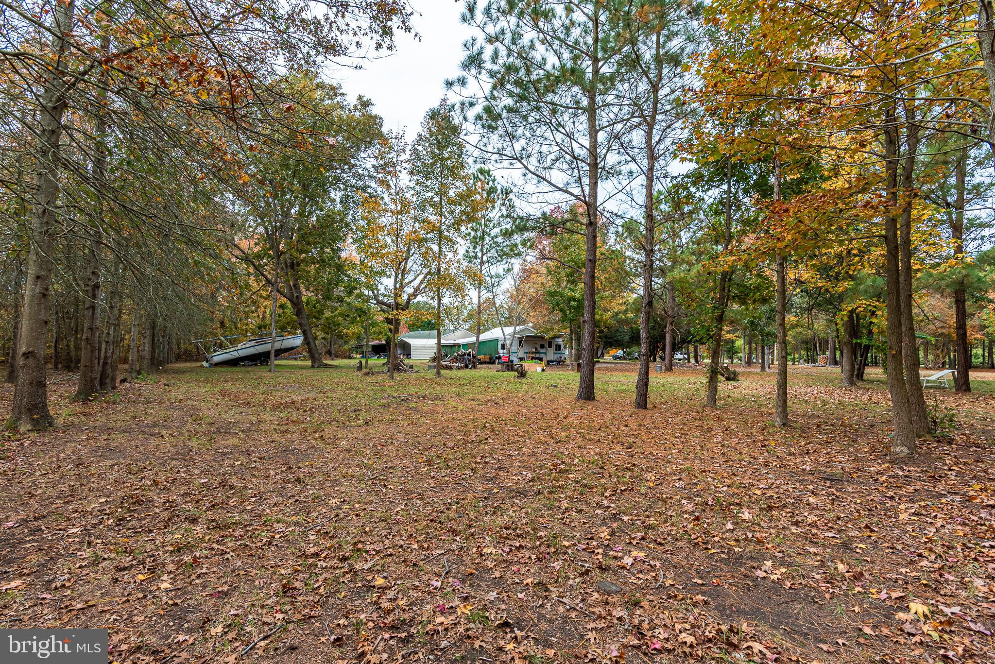 24653 McInturff Road Dames Quarter, MD 21821 - Photo 15 of 62 a view of outdoor space with trees